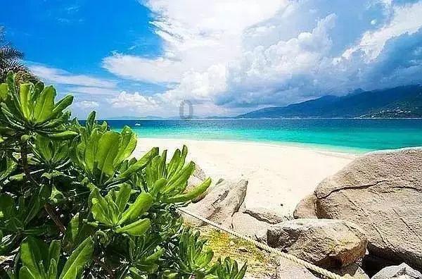 剑侠情缘手游