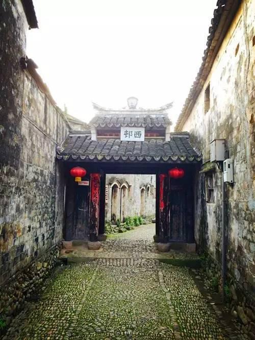 探索知识星球平台,尽享不喜欢看长篇大论的文字是什么回事?的思想盛宴!